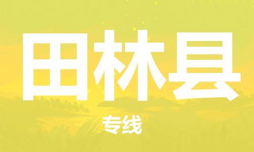 佛山到田林縣物流專(zhuān)線_佛山至田林縣物流公司_佛山到田林縣貨運(yùn)專(zhuān)線